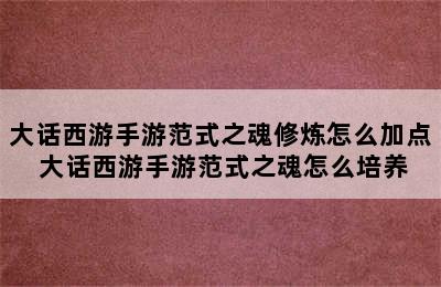 大话西游手游范式之魂修炼怎么加点 大话西游手游范式之魂怎么培养